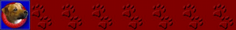 http://www.mydogtag.de - Linkpartner von klein_erwin (deine-tierwelt.de)